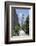 High Line Park on old train tracks above the ground. Manhattan. New York-Tom Norring-Framed Photographic Print