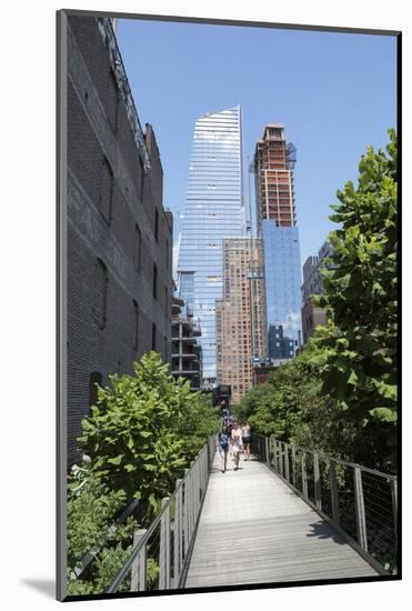 High Line Park on old train tracks above the ground. Manhattan. New York-Tom Norring-Mounted Photographic Print