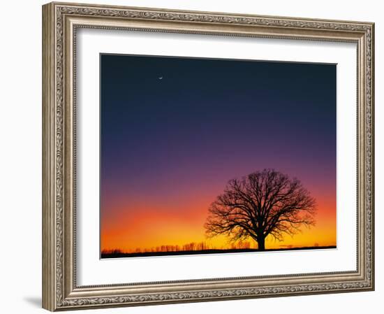 High Moon-Contemporary Photography-Framed Giclee Print