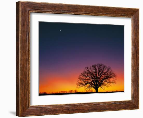 High Moon-Contemporary Photography-Framed Giclee Print