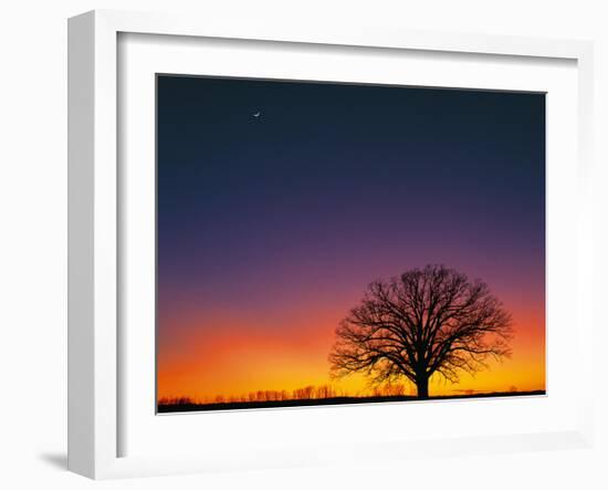 High Moon-Contemporary Photography-Framed Giclee Print