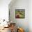 High Mountain Patch-Allan P. Friedlander-Framed Stretched Canvas displayed on a wall