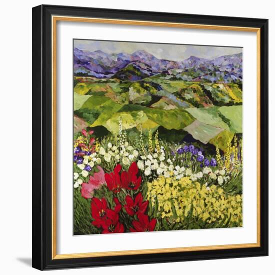 High Mountain Patch-Allan P. Friedlander-Framed Art Print