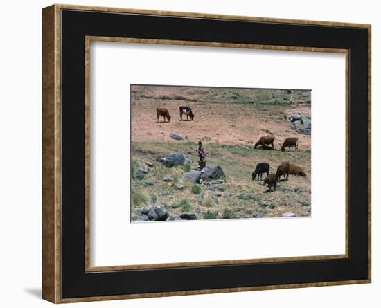 High pasture in the High Atlas Mountains-CM Dixon-Framed Photographic Print