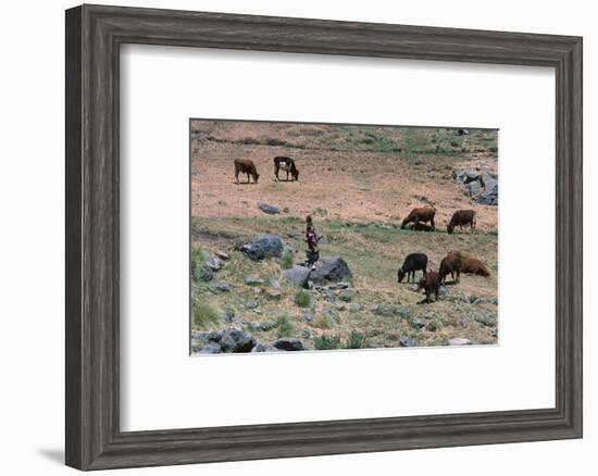 High pasture in the High Atlas Mountains-CM Dixon-Framed Photographic Print