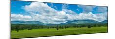 Photographic Print