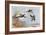 High Pheasants, Illustration from 'Wildfowl and Waders'-Frank Southgate-Framed Giclee Print