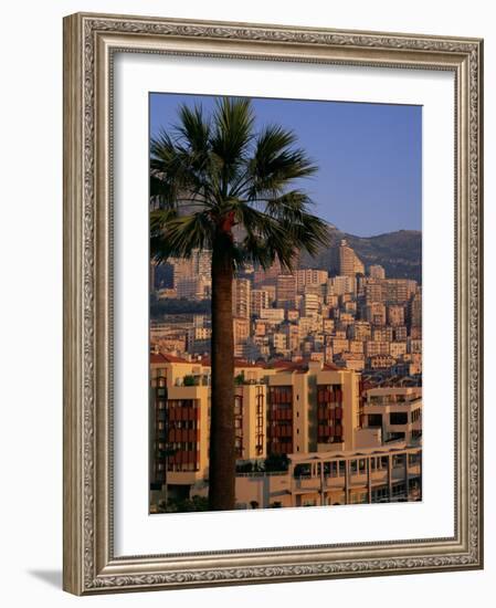 High Rise Buildings at Sunrise, Palm Tree in Foreground, La Condamine, Monaco, Europe-Ruth Tomlinson-Framed Photographic Print