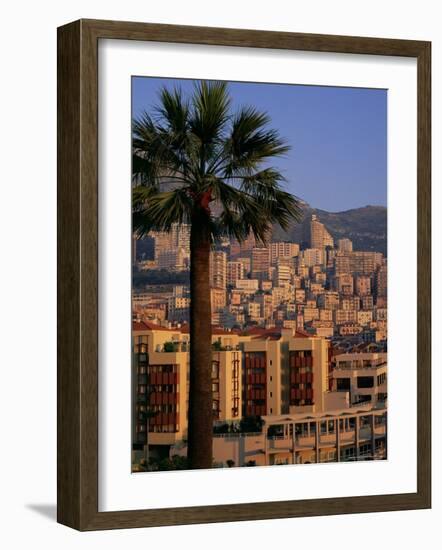 High Rise Buildings at Sunrise, Palm Tree in Foreground, La Condamine, Monaco, Europe-Ruth Tomlinson-Framed Photographic Print