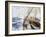 High Seas, 1990s-James Brereton-Framed Giclee Print