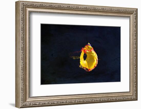 High Speed Flash Capturing Bursting Balloon and Visible Sound Wave Distortions-Yon Marsh-Framed Photographic Print