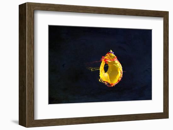 High Speed Flash Capturing Bursting Balloon and Visible Sound Wave Distortions-Yon Marsh-Framed Photographic Print