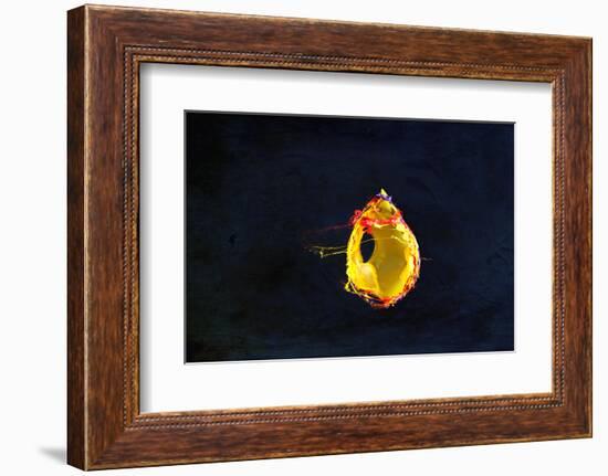 High Speed Flash Capturing Bursting Balloon and Visible Sound Wave Distortions-Yon Marsh-Framed Photographic Print