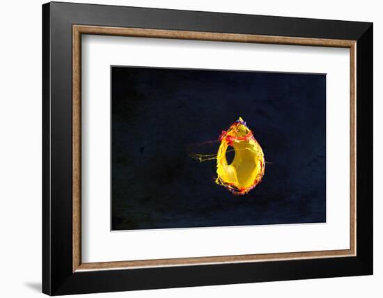 High Speed Flash Capturing Bursting Balloon and Visible Sound Wave Distortions-Yon Marsh-Framed Photographic Print