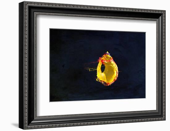 High Speed Flash Capturing Bursting Balloon and Visible Sound Wave Distortions-Yon Marsh-Framed Photographic Print