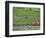 High Speed Train by Rhineland Vineyards, Koblenz, Germany-Miva Stock-Framed Photographic Print