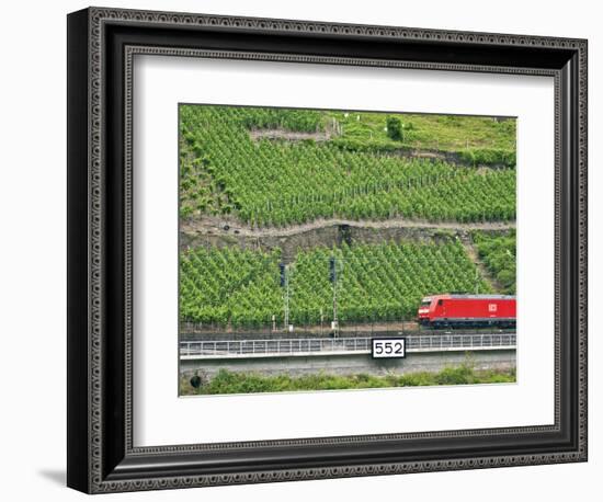 High Speed Train by Rhineland Vineyards, Koblenz, Germany-Miva Stock-Framed Photographic Print