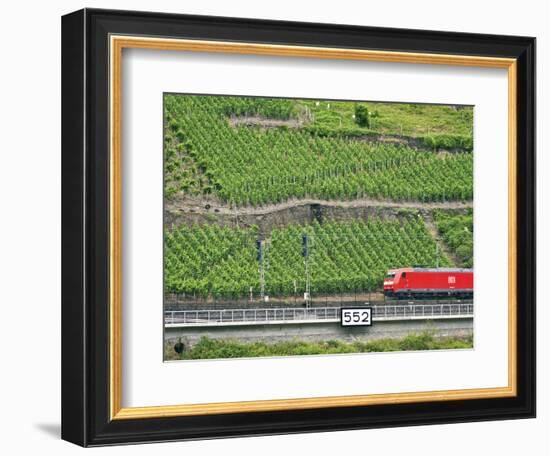 High Speed Train by Rhineland Vineyards, Koblenz, Germany-Miva Stock-Framed Photographic Print