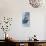 High Spirit - Snow Leopard-Kim Thompson-Giclee Print displayed on a wall