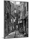 Photographic Print