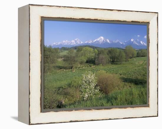 High Tatra Mountains from Near Poprad, Slovakia-Upperhall-Framed Premier Image Canvas