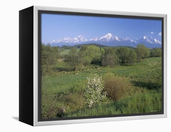 High Tatra Mountains from Near Poprad, Slovakia-Upperhall-Framed Premier Image Canvas