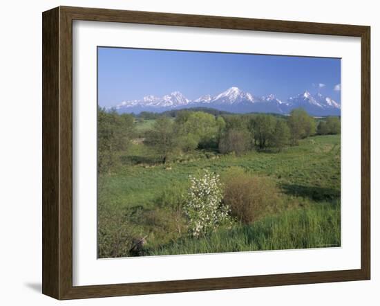 High Tatra Mountains from Near Poprad, Slovakia-Upperhall-Framed Photographic Print