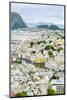 High View of the Harbour and Town of Alesund, Norway, Scandinavia, Europe-Amanda Hall-Mounted Photographic Print