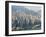 High View of the Hong Kong Island Skyline and Victoria Harbour, Hong Kong, China, Asia-Amanda Hall-Framed Photographic Print