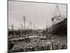 High Water at New Orleans, La., Levee, March 21, 1903-null-Mounted Photo