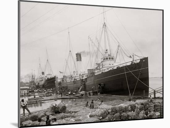 High Water at New Orleans, La., Levee, March 21, 1903-null-Mounted Photo