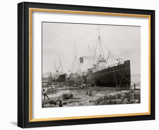 High Water at New Orleans, La., Levee, March 21, 1903-null-Framed Photo