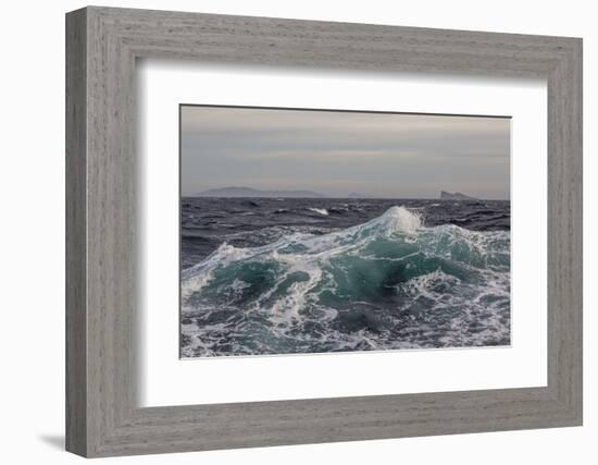 High Winds and Heavy Seas on Approach to the New Island Nature Reserve, Falkland Islands-Michael Nolan-Framed Photographic Print