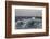 High Winds and Heavy Seas on Approach to the New Island Nature Reserve, Falkland Islands-Michael Nolan-Framed Photographic Print