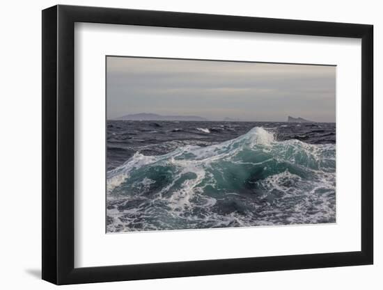 High Winds and Heavy Seas on Approach to the New Island Nature Reserve, Falkland Islands-Michael Nolan-Framed Photographic Print