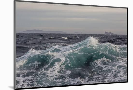 High Winds and Heavy Seas on Approach to the New Island Nature Reserve, Falkland Islands-Michael Nolan-Mounted Photographic Print