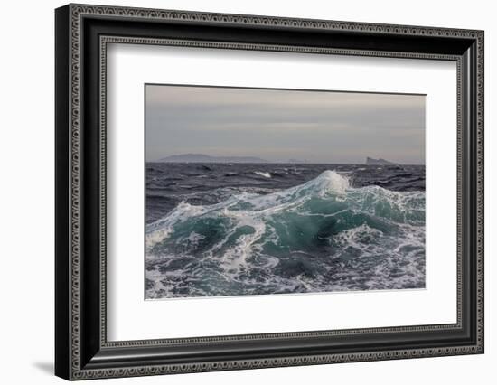 High Winds and Heavy Seas on Approach to the New Island Nature Reserve, Falkland Islands-Michael Nolan-Framed Photographic Print