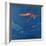 Highboard Diver-Patti Mollica-Framed Giclee Print