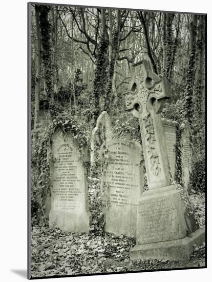 Highgate Cemetery, London, England-Jon Arnold-Mounted Photographic Print