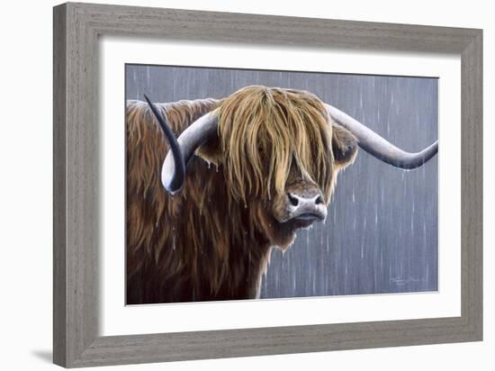 Highland Bull Rainy Day-Jeremy Paul-Framed Giclee Print