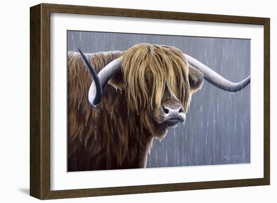 Highland Bull Rainy Day-Jeremy Paul-Framed Giclee Print