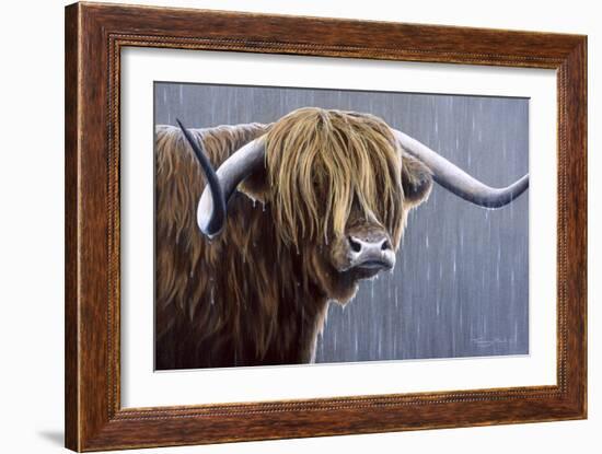 Highland Bull Rainy Day-Jeremy Paul-Framed Giclee Print