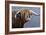 Highland Bull Rainy Day-Jeremy Paul-Framed Giclee Print