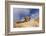 Highland Calf (Bos Taurus) Looking Over The Back Of Its Mother, Tiree, Scotland Uk. May 2006-Niall Benvie-Framed Photographic Print