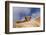 Highland Calf (Bos Taurus) Looking Over The Back Of Its Mother, Tiree, Scotland Uk. May 2006-Niall Benvie-Framed Photographic Print