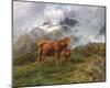 Highland Cattle, 1876-Rosa Bonheur-Mounted Giclee Print