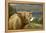 Highland Cattle Above Loch Katrine, Loch Lomond and Trossachs National Park, Stirling, Scotland, UK-Gary Cook-Framed Premier Image Canvas