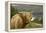 Highland Cattle Above Loch Katrine, Loch Lomond and Trossachs National Park, Stirling, Scotland, UK-Gary Cook-Framed Premier Image Canvas