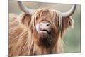 Premium Photographic Print