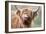 Highland Cattle Chewing on Grass-null-Framed Photographic Print